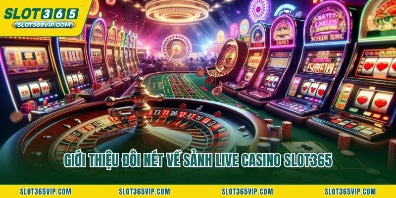 Giới thiệu đôi nét về sảnh Live casino SLOT365